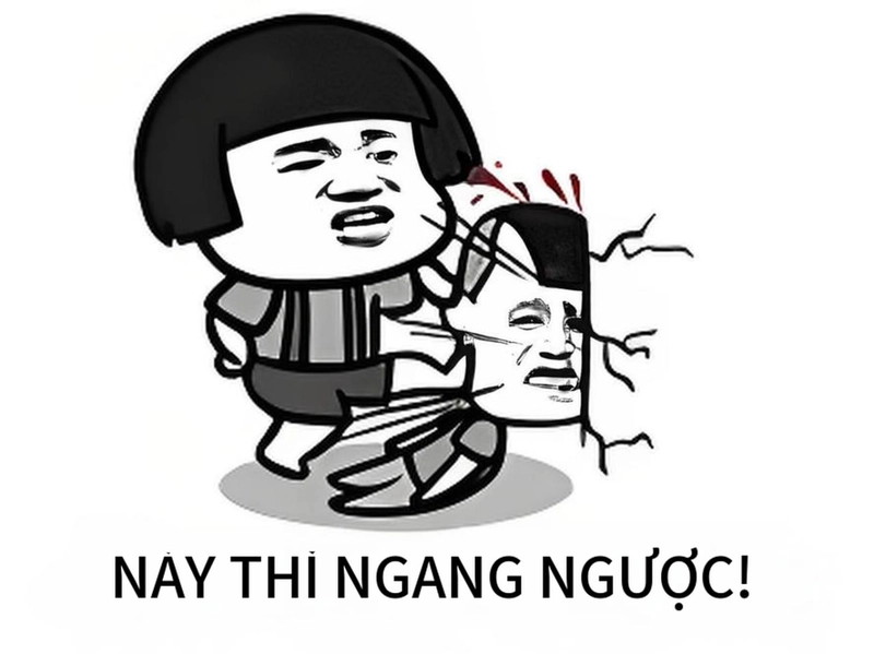 Ảnh chế meme gấu trúc ngang ngược bá đạo