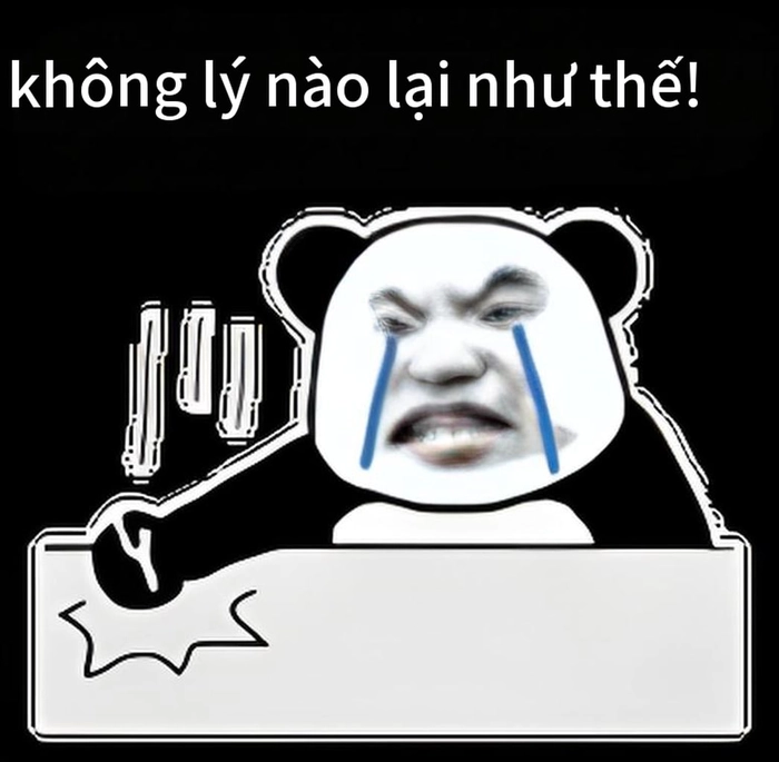 Ảnh chế meme gấu trúc tức giận