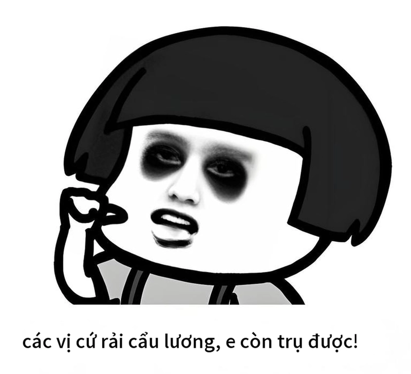Ảnh gấu trúc meme mất ngủ cực dễ thương