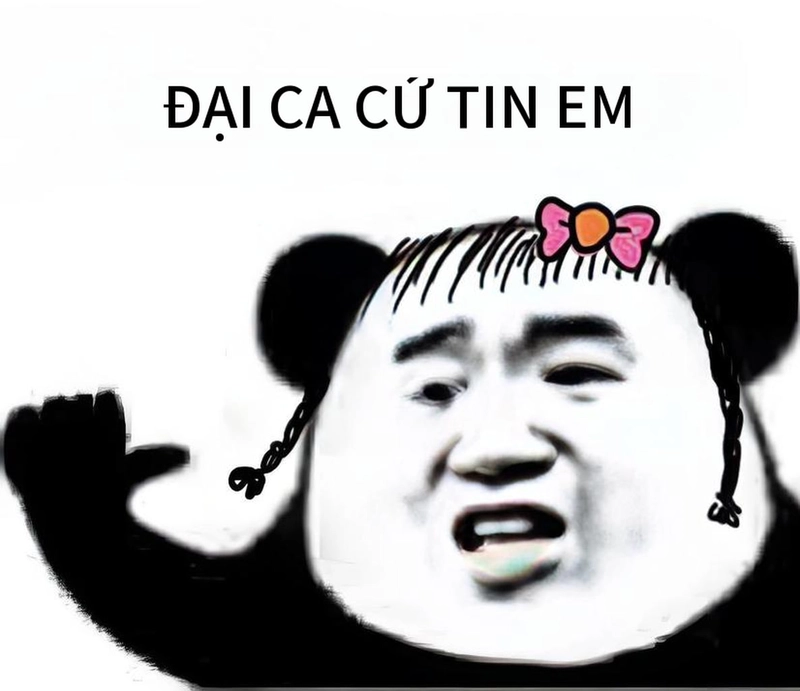 Ảnh gấu trúc meme mắt thâm chế giễu