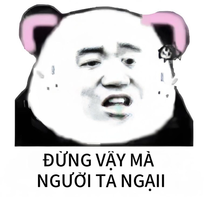 Ảnh gấu trúc meme mắt thâm cực ngộ nghĩnh