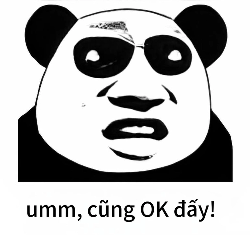 Ảnh gấu trúc meme mắt thâm hài hước