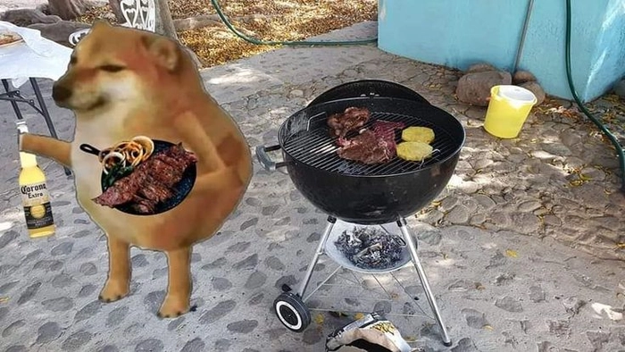Ảnh meme chó mèo bựa bá đạo