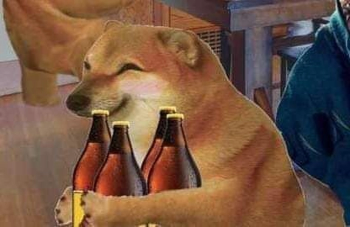 Ảnh meme chó mèo siêu ngáo