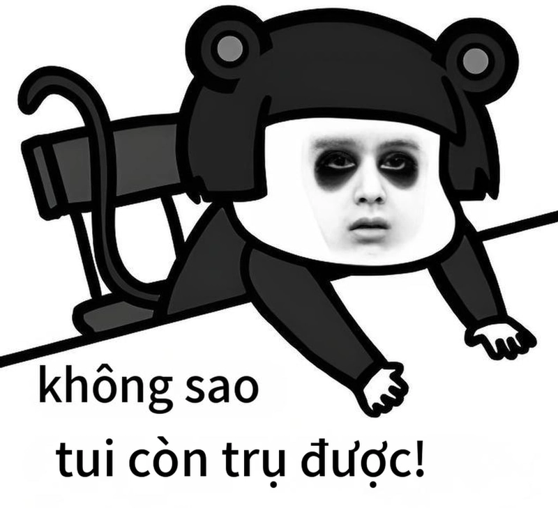 Ảnh meme gấu trúc buồn ngủ chế giễu