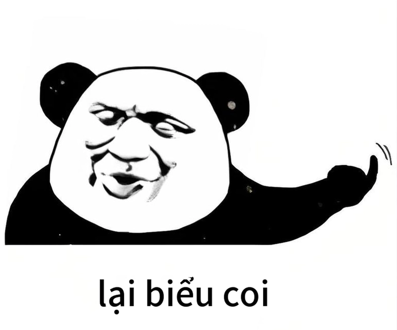 Ảnh meme gấu trúc buồn ngủ cực cute
