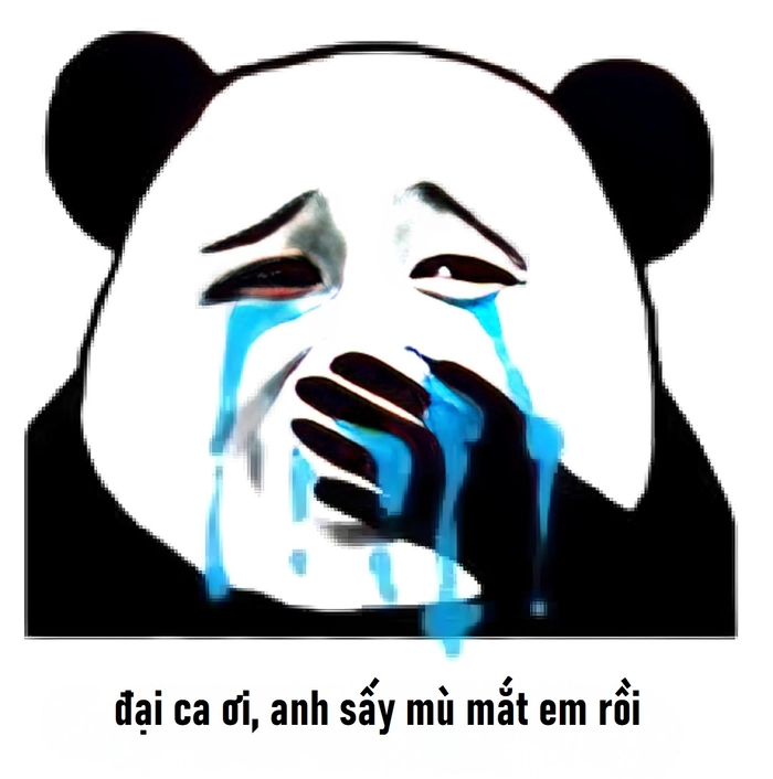 Ảnh meme gấu trúc khóc chế vui