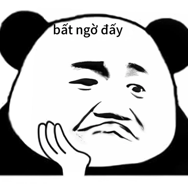 Ảnh meme gấu trúc mặt ngạc nhiên hài hước