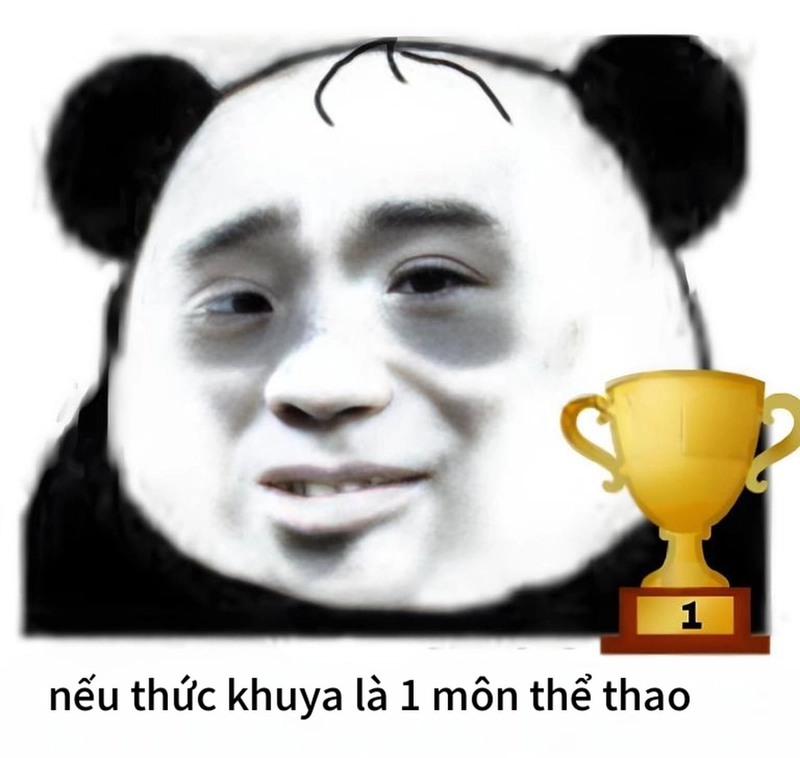 Ảnh meme gấu trúc mắt thâm buồn cười