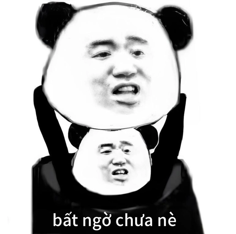 Ảnh meme gấu trúc mắt thâm siêu sáng tạo