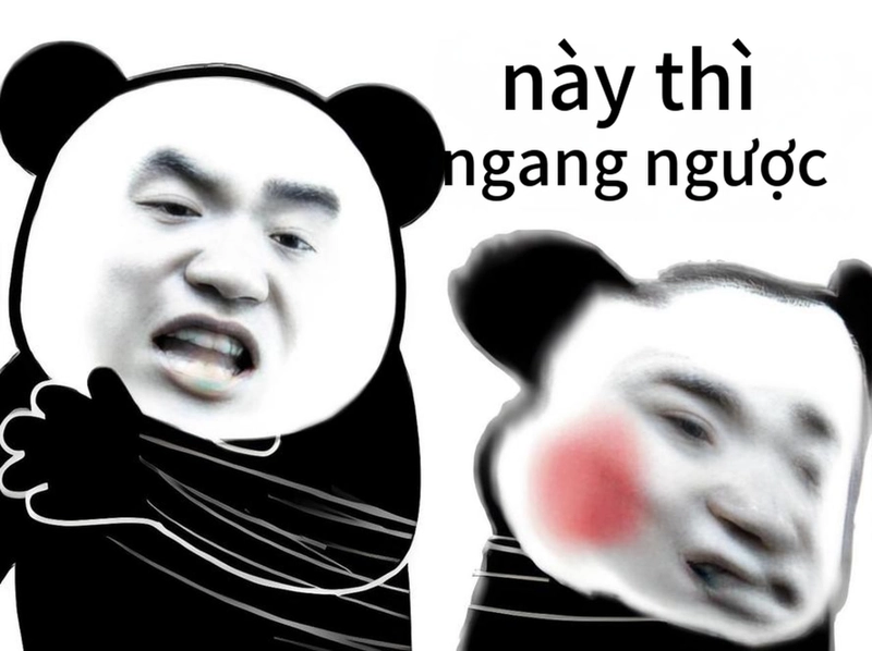 Ảnh meme gấu trúc ngang ngược cực hài