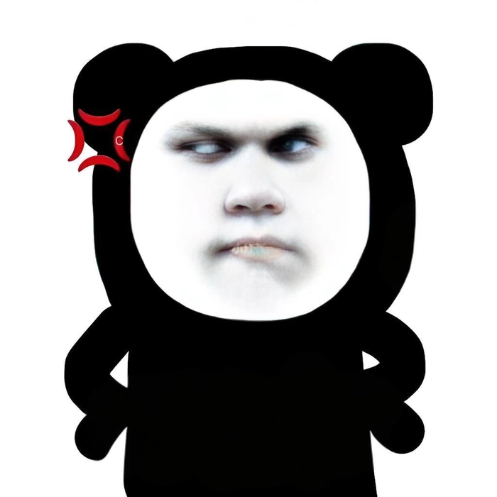 Ảnh meme gấu trúc tức giận hài