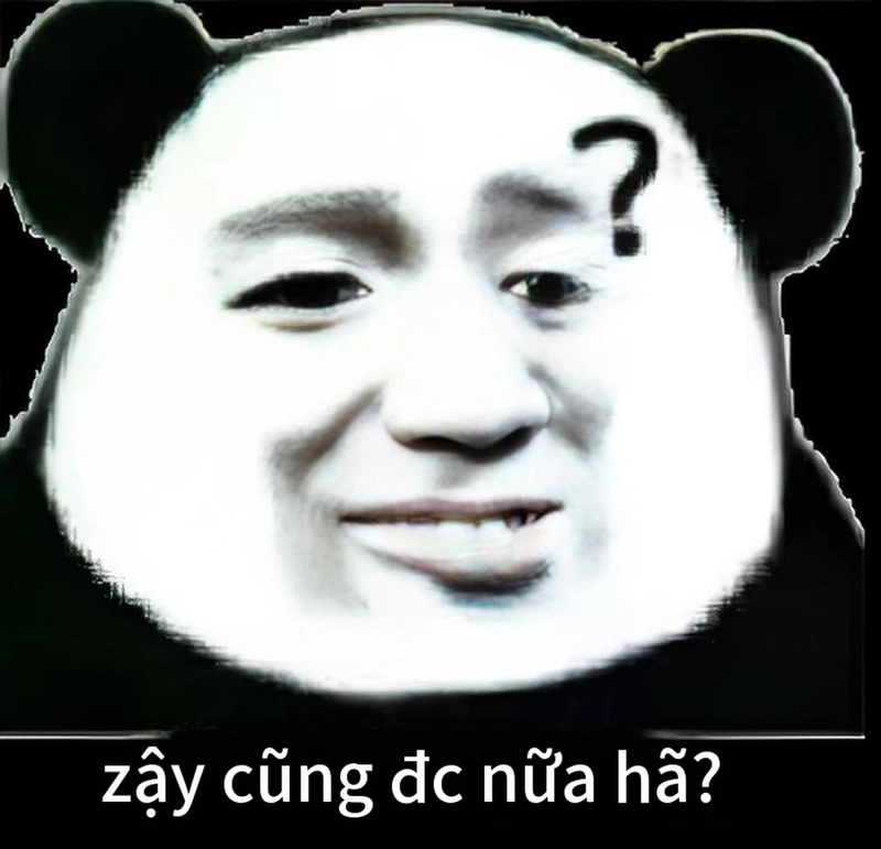 Bộ ảnh meme gấu trúc ngạc nhiên thú vị