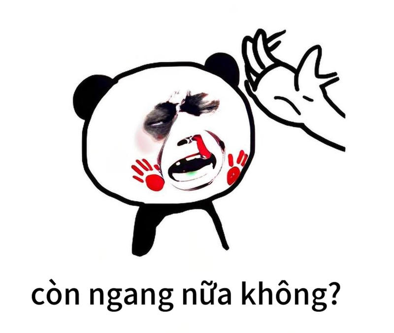 Bộ ảnh meme gấu trúc ngang ngược mới nhất