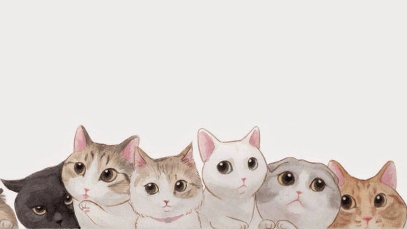 Hình ảnh mèo cute anime đáng yêu vui nhộn