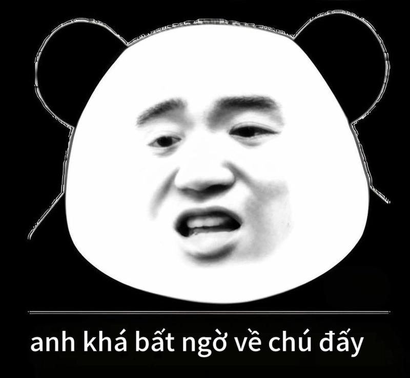 Hình ảnh meme gấu trúc ngạc nhiên sáng tạo