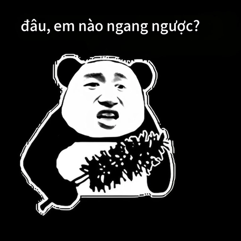 Hình ảnh meme gấu trúc ngang ngược độc đáo