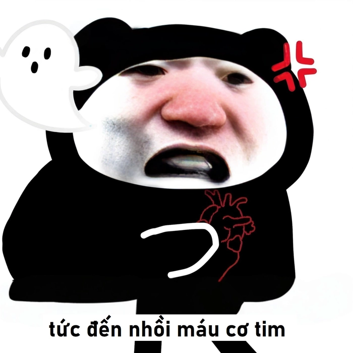 Hình chế gấu trúc dỗi bá đạo