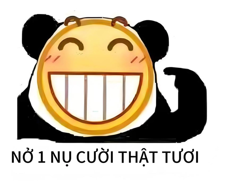 Hình meme gấu trúc cười độc đáo