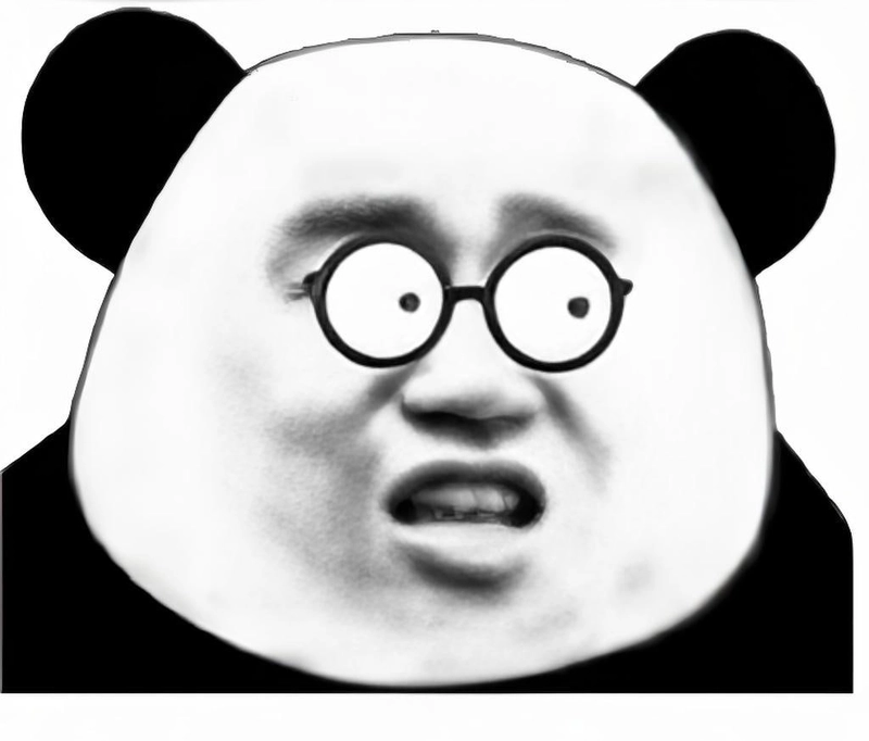 Hình meme gấu trúc ngạc nhiên khiến cười sảng khoái