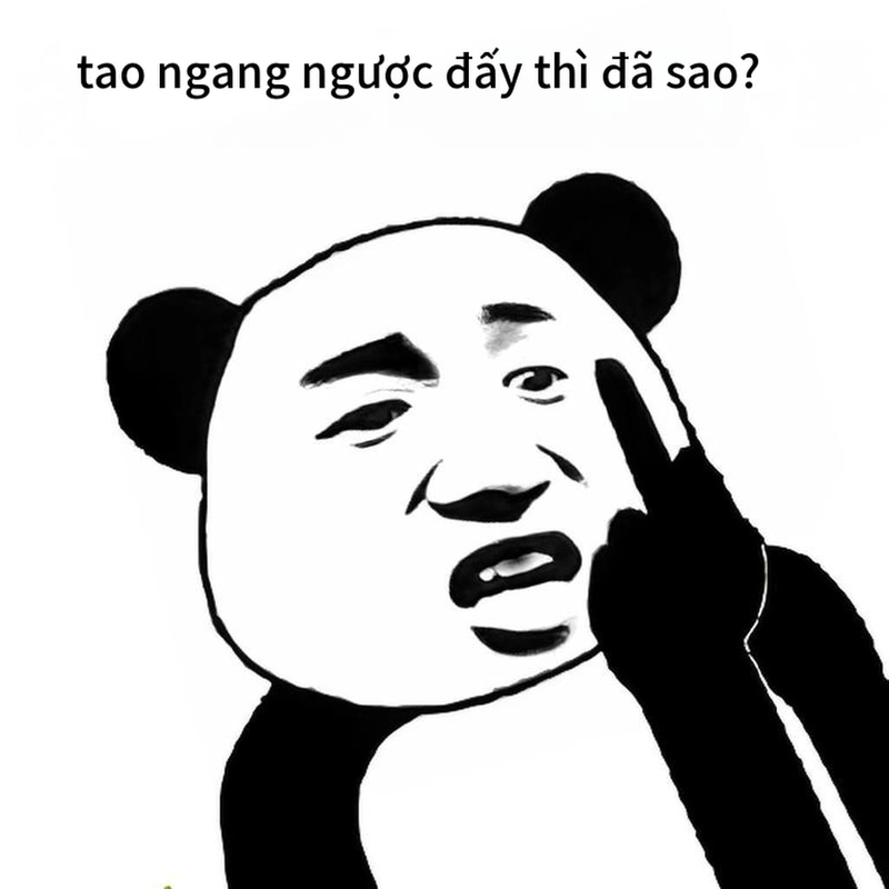 Hình meme gấu trúc ngang ngược gây cười