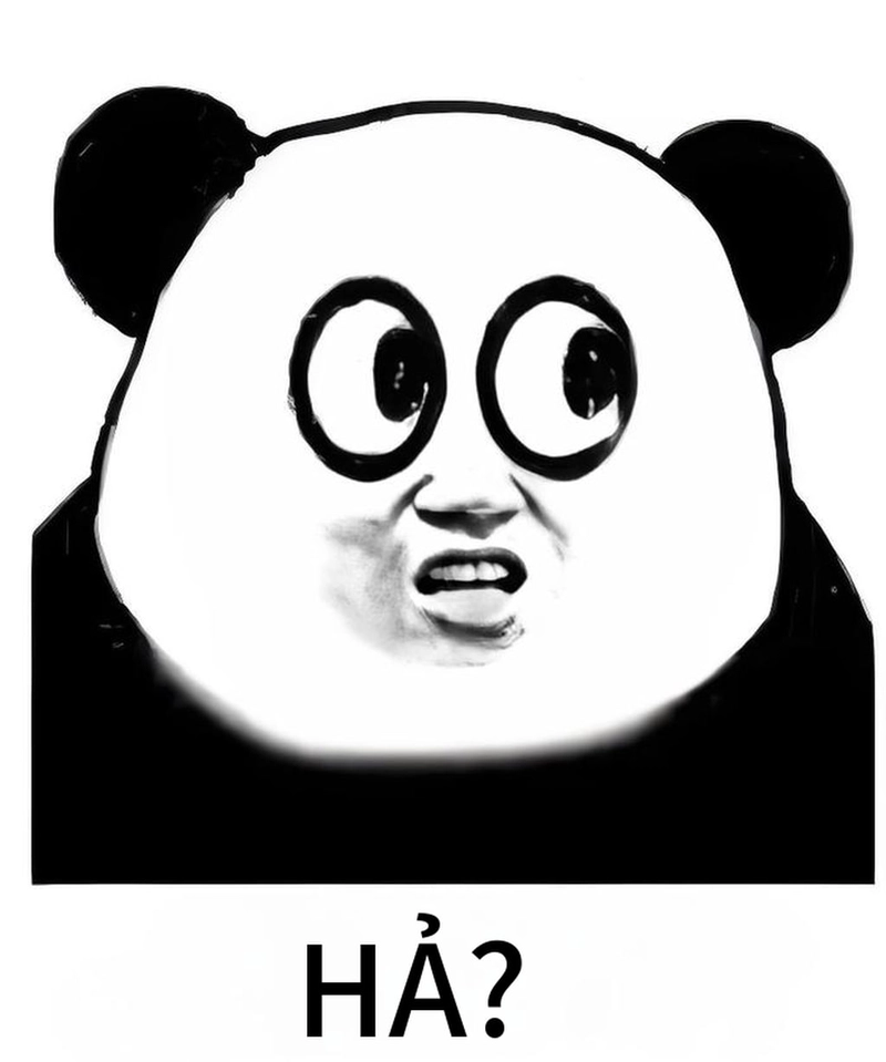 Kho ảnh meme gấu trúc ngạc nhiên ấn tượng
