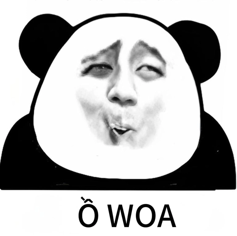 Kho ảnh meme gấu trúc ngạc nhiên cực hot