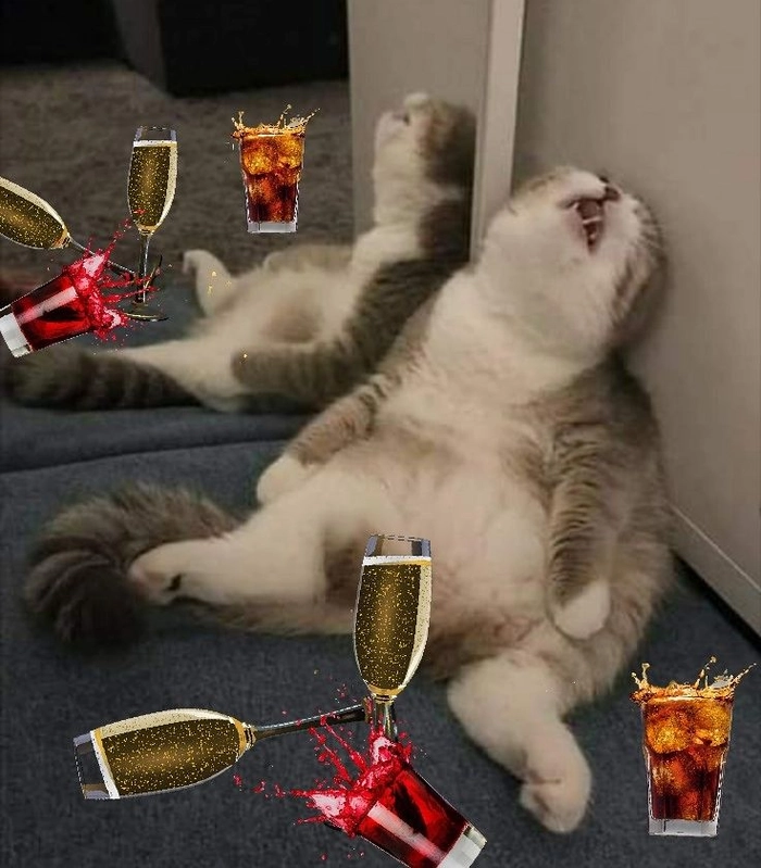 Meme chó mèo cute sống ảo