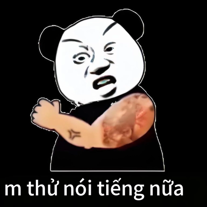 Meme gấu trúc bất lực châm biếm