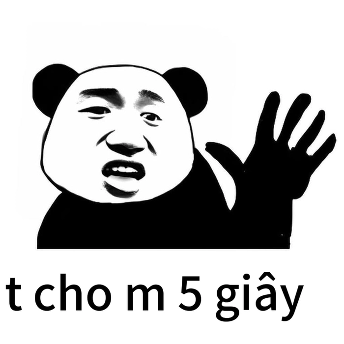 Meme gấu trúc bất lực hài hước
