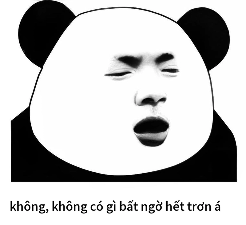Meme gấu trúc bất ngờ biểu cảm hài độc đáo