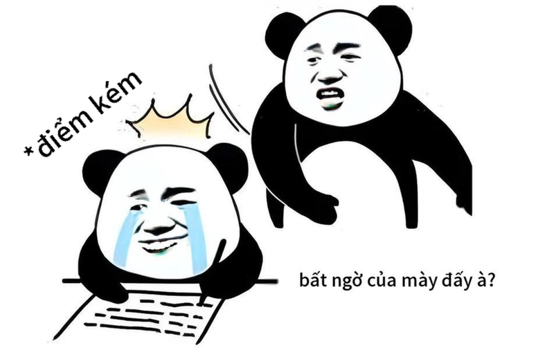 Meme gấu trúc bất ngờ cho cuộc trò chuyện vui vẻ