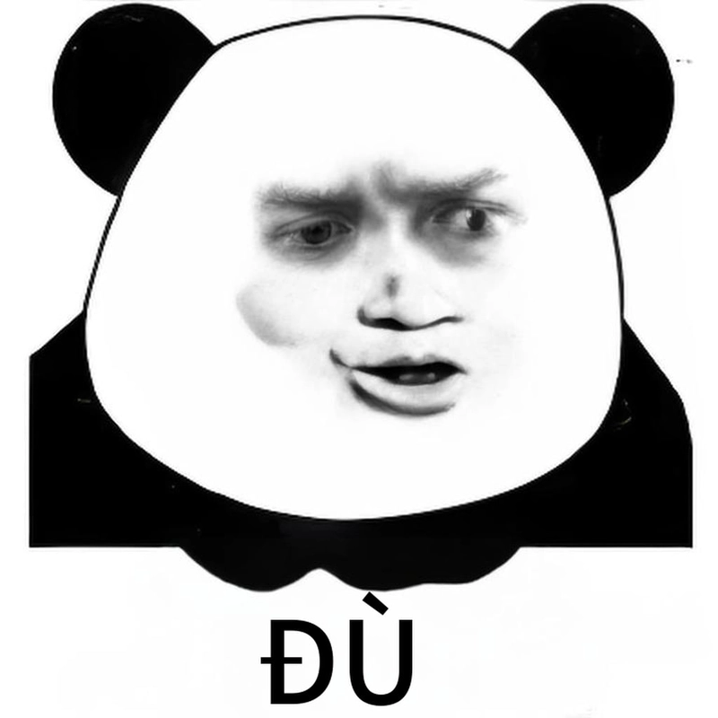 Meme gấu trúc bất ngờ dễ thương