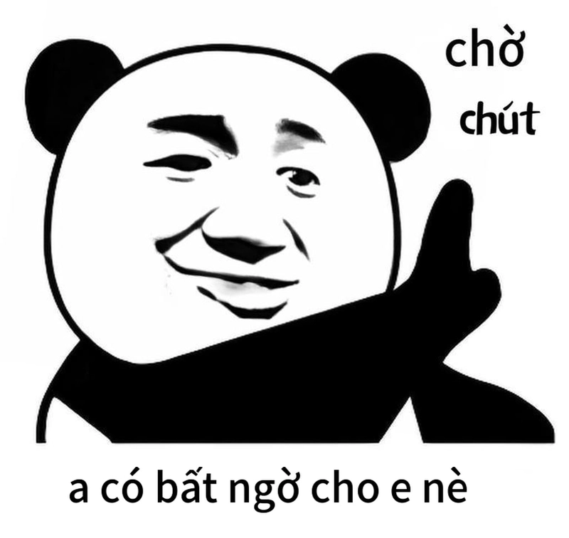 Meme gấu trúc bất ngờ độc lạ dễ thương