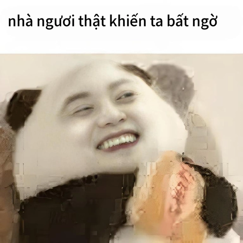Meme gấu trúc bất ngờ lan truyền mạng