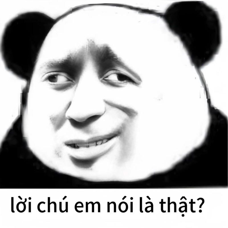 Meme gấu trúc bất ngờ mang phong cách hài hước