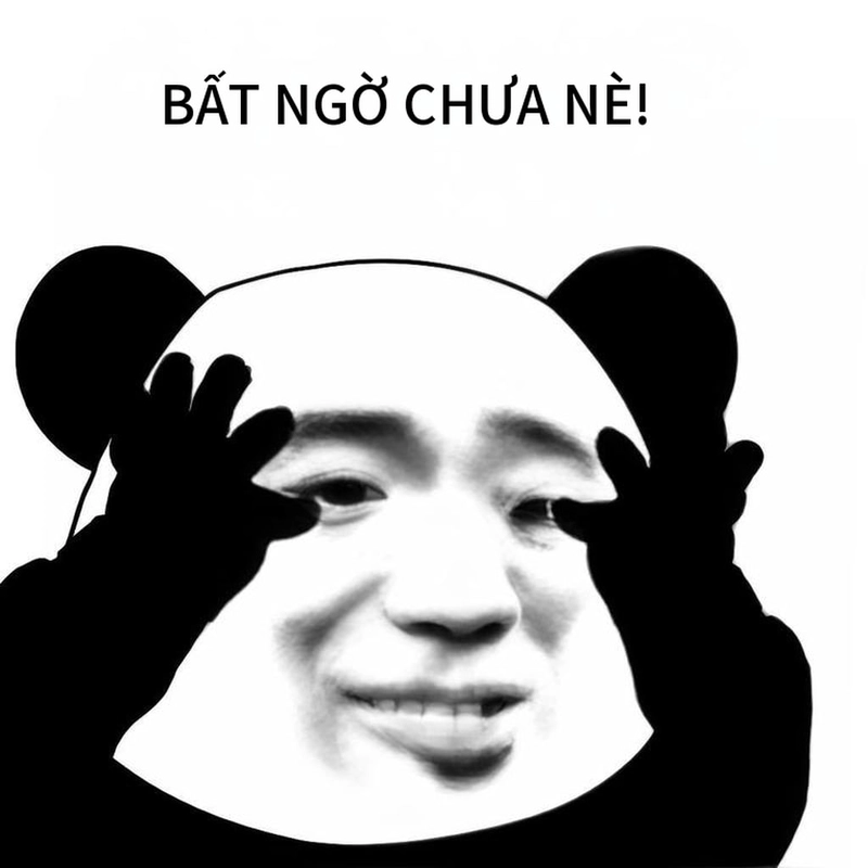 Meme gấu trúc bất ngờ siêu dễ thương đáng yêu