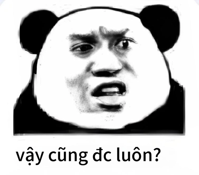 Meme gấu trúc bất ngờ với biểu cảm hài hước