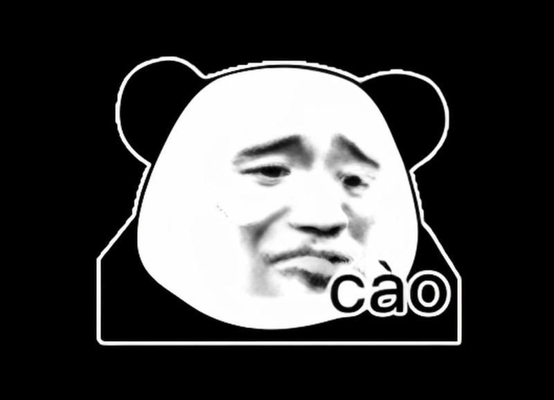 Meme gấu trúc bất ngờ vui nhộn dễ thương
