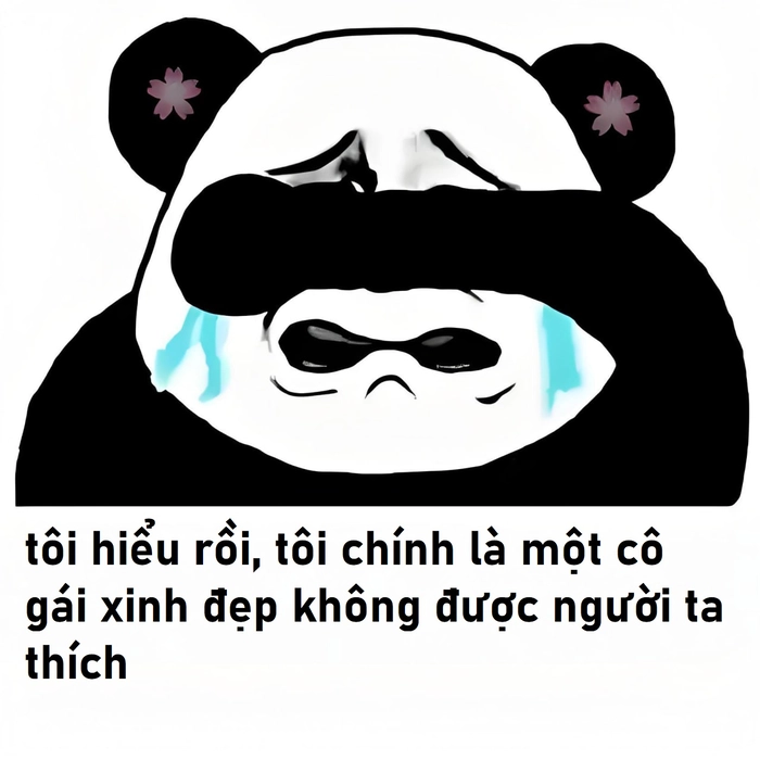 Meme gấu trúc buồn mới nhất