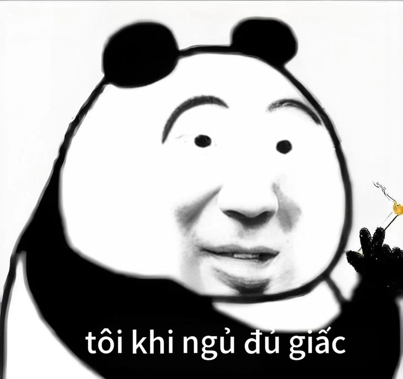 Meme gấu trúc buồn ngủ siêu dễ thương