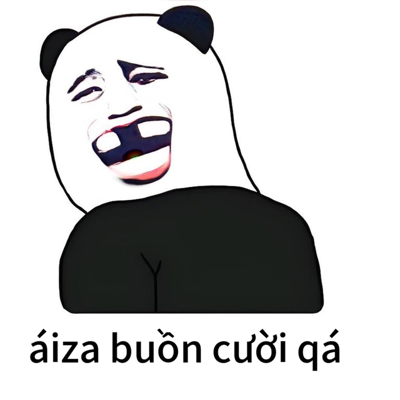 Meme gấu trúc cười chế hài hước