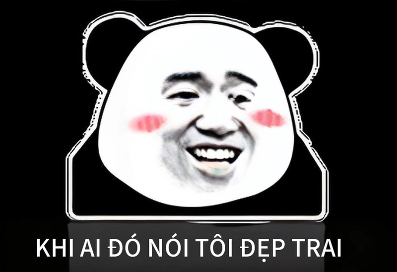 Meme gấu trúc cười đáng yêu