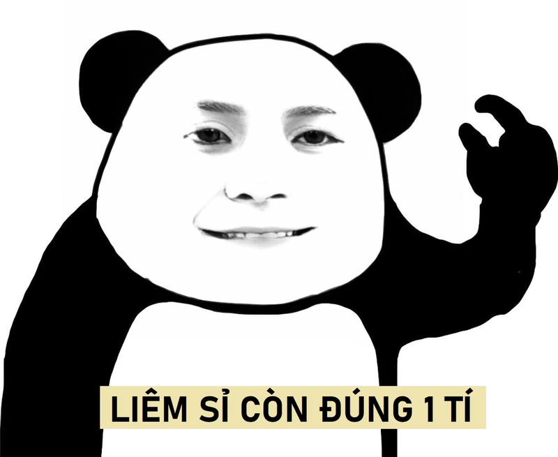 Meme gấu trúc cười đểu chế cực chất