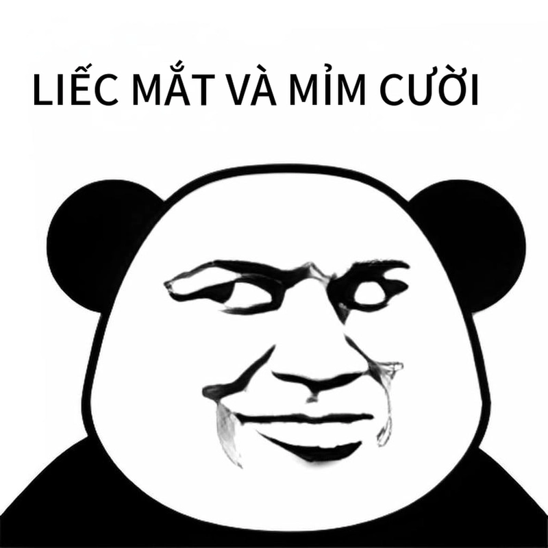 Meme gấu trúc cười đểu siêu lầy