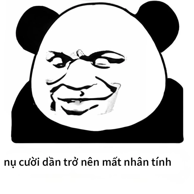 Meme gấu trúc cười gây cười mạnh