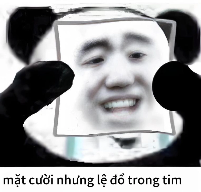 Meme gấu trúc cười troll bá đạo