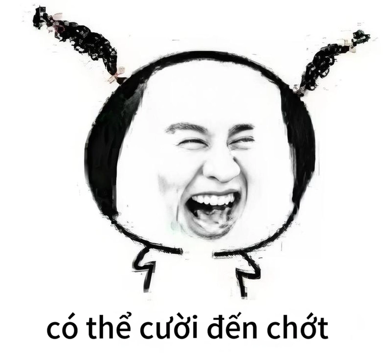 Meme gấu trúc cười troll cực chất