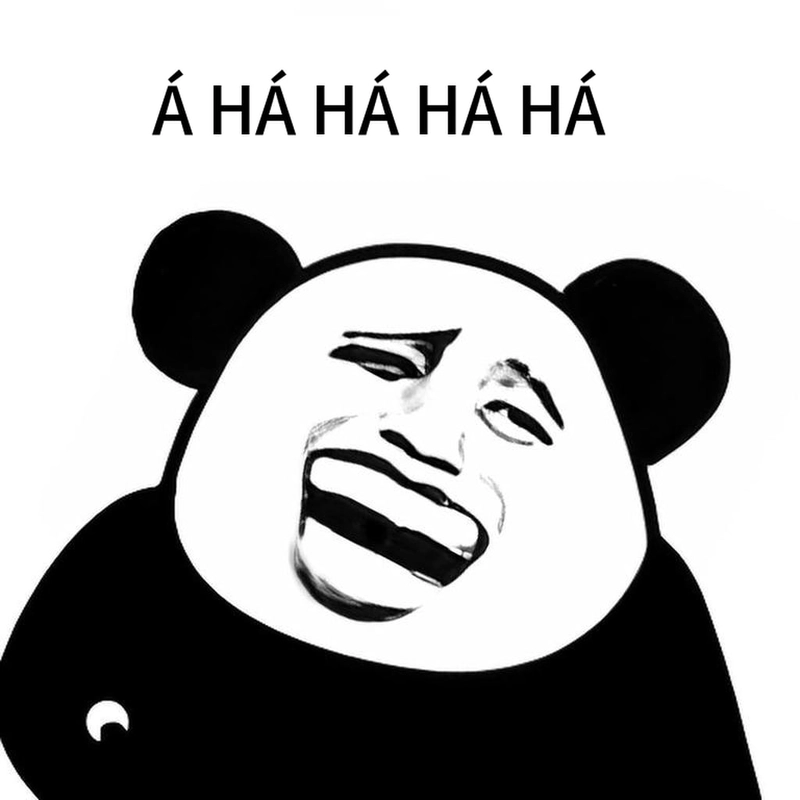 Meme gấu trúc cười troll hài hước