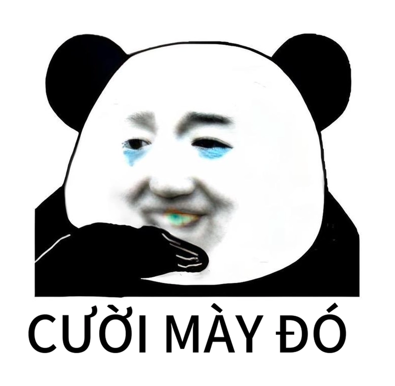 Meme gấu trúc cười vui nhộn dễ thương